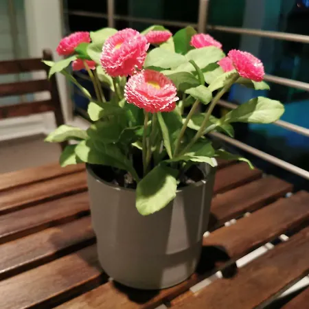 Lägenhet Pall's Minimal Néa Péramos