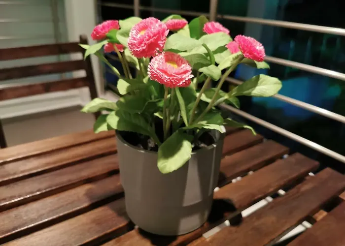 Apartamento Pall's Minimal Néa Péramos